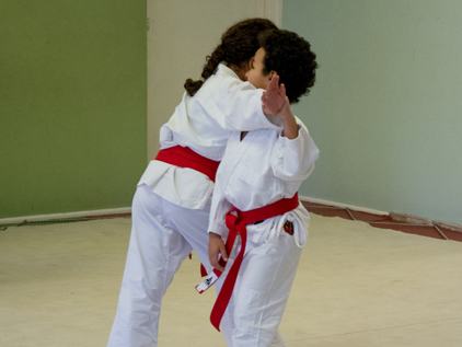 Hizashikan-children practice